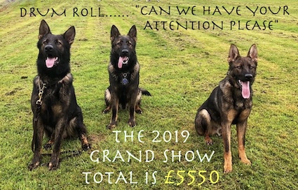 2019 show amount