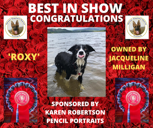 BEST IN SHOW