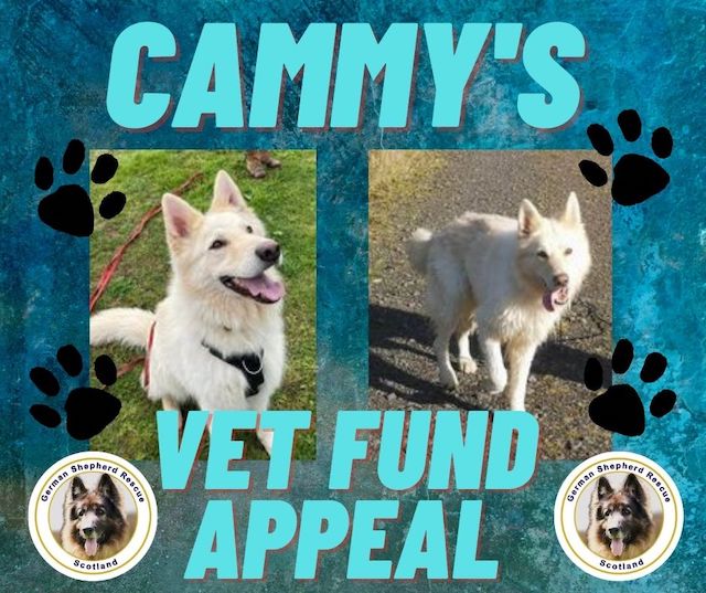 Cammy vet appeal