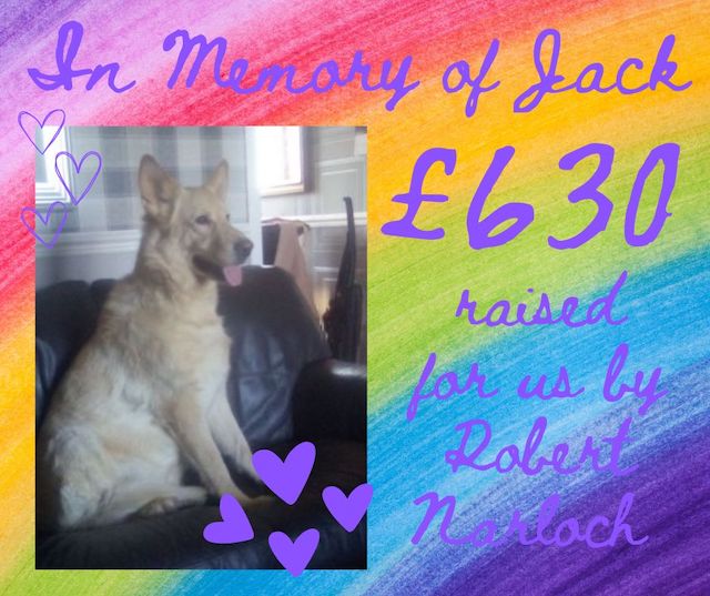 In Memory of Jack