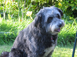 Annie