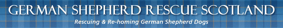 German Shepherd Rescue Scotland
