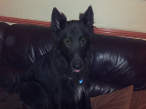 Jake