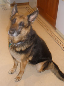 Kiera