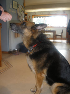 Kiera