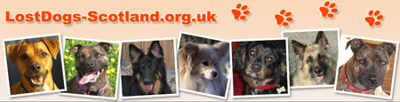 Lost Dogs Scotland