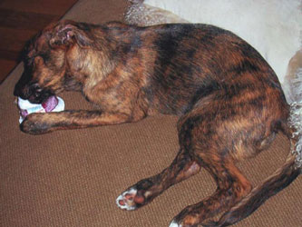 Lucy