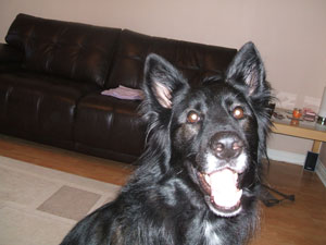 Luca