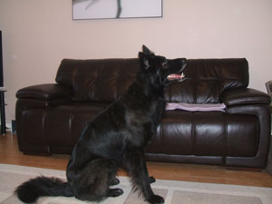 Luca