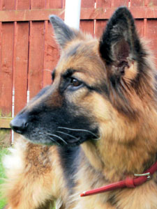 Lucy