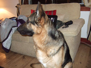 Max