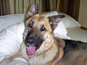 Max