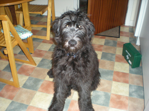 Murphy