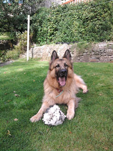 Murphy