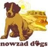 NOWZAD Dogs