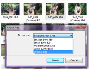 Resize