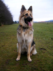 Roxy