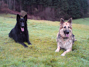 Roxy and Cal