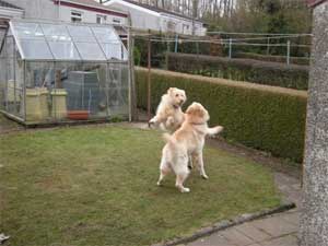 Snoopy and Jess