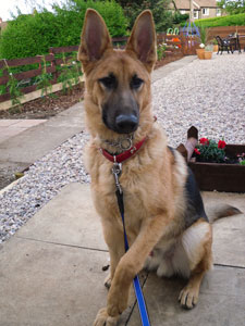Thor