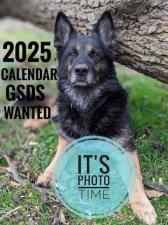 2025 Calendar images wanted