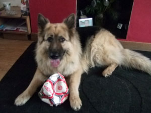 Zak