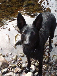 Zoe