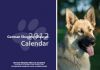 A4 Rescue Calendar 2012 - Landscape Version