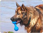 German Shepherd Mouse Mat Design 11