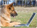 German Shepherd Mouse Mat Design 3