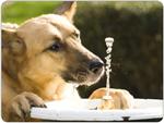 German Shepherd Mouse Mat Design 6