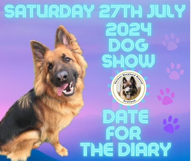 Dog Show 2024 Dates Corinne