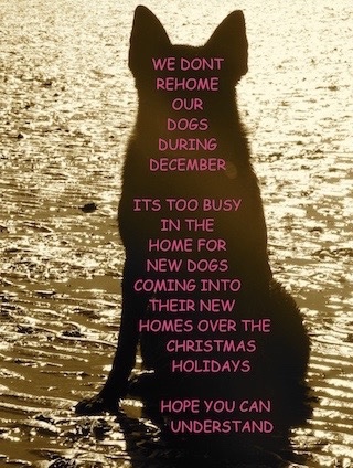 DECEMBER NO HOME WEBcopy