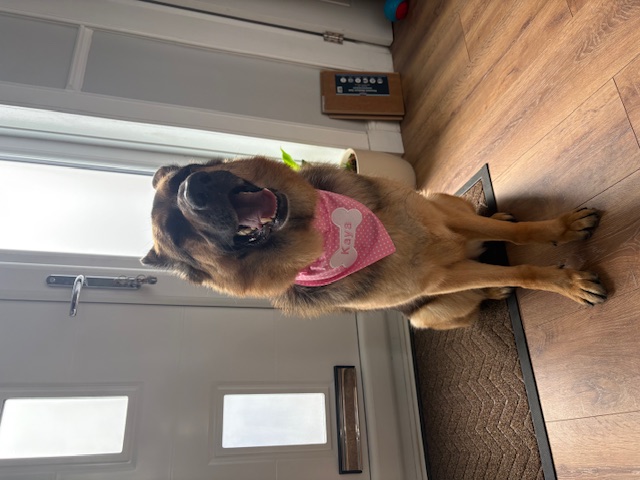 Kaya Angel Success 2