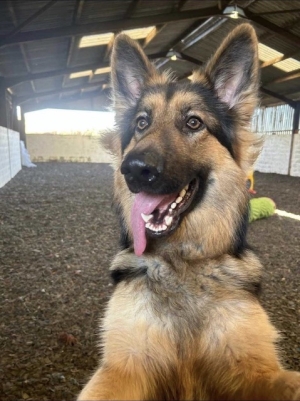 Max