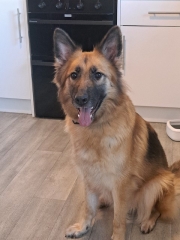 Saphire